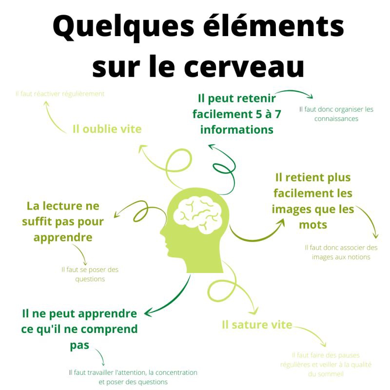 optimisez-votre-apprentissage-astuces-pour-votre-cerveau-la-boite-a